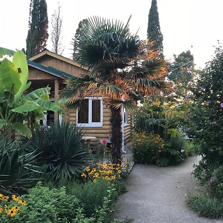Гостевой Дом "Сария" Hotel Alakhadzi Exterior foto