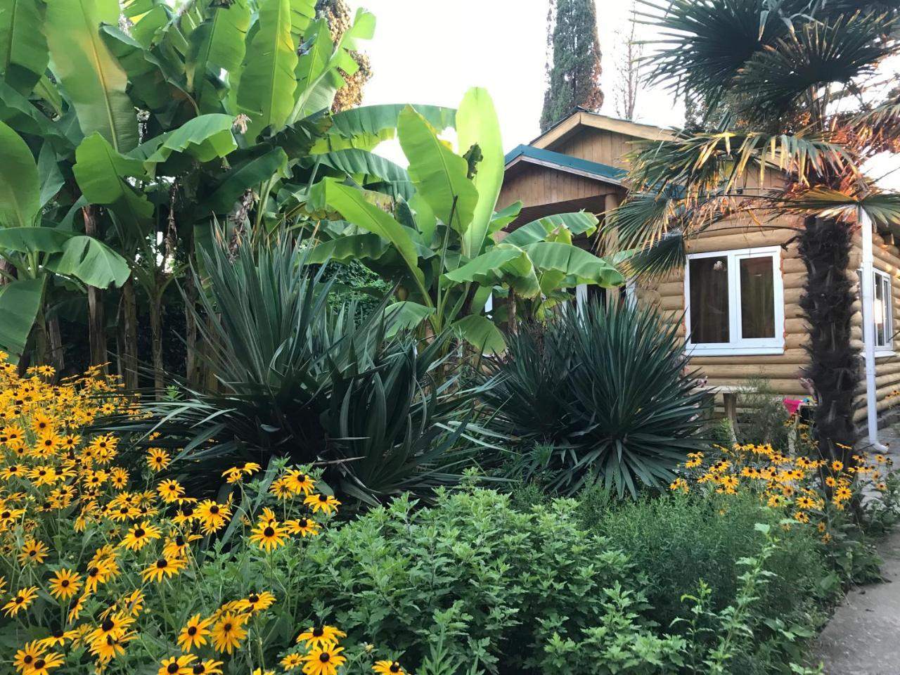 Гостевой Дом "Сария" Hotel Alakhadzi Exterior foto